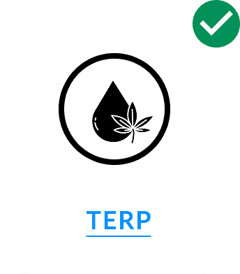 terp