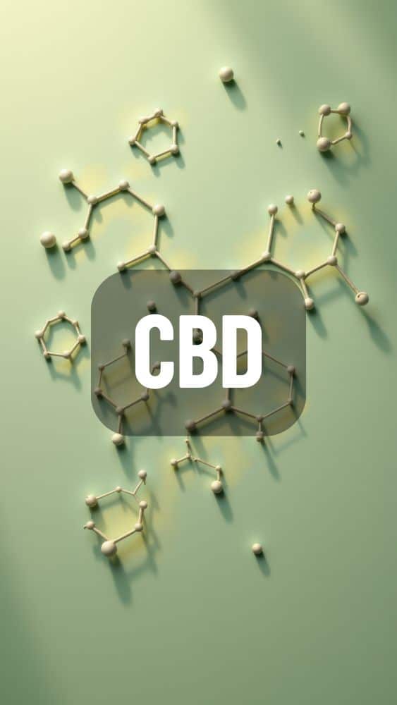 Shop All CBD