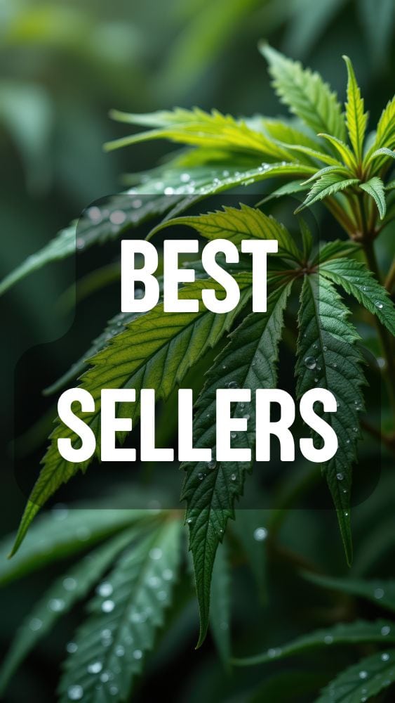 Best Sellers