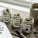 Indica vs Sativa vs Hybrid: How to Choose the Experience That Fits Your Life