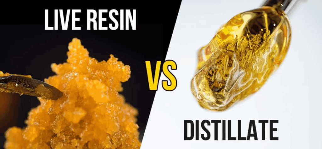 Live Resin vs Distillate: Differences, Effects & Which to Choose
