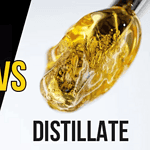 Live Resin vs Distillate: Differences, Effects & Which to Choose
