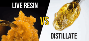 Live Resin vs Distillate: Differences, Effects & Which to Choose