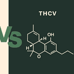 THCV vs THC: The Cannabinoid That Does the Opposite of What You'd Expect
