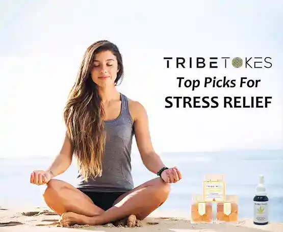 Top Product Picks for Stress