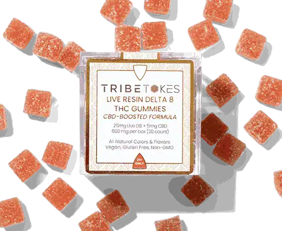 TribeTokes-LLC_r1-04E-9979
