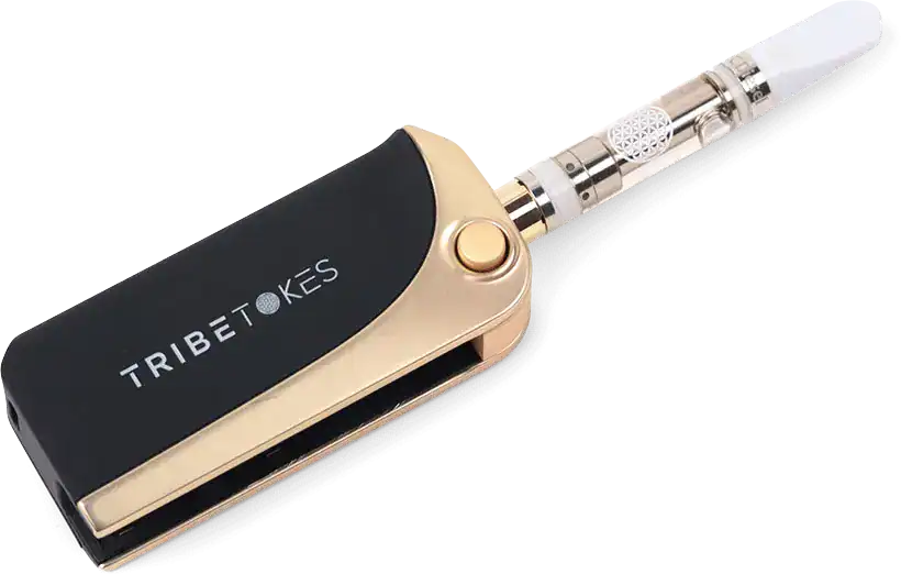 Saber-Hero-Image-copy