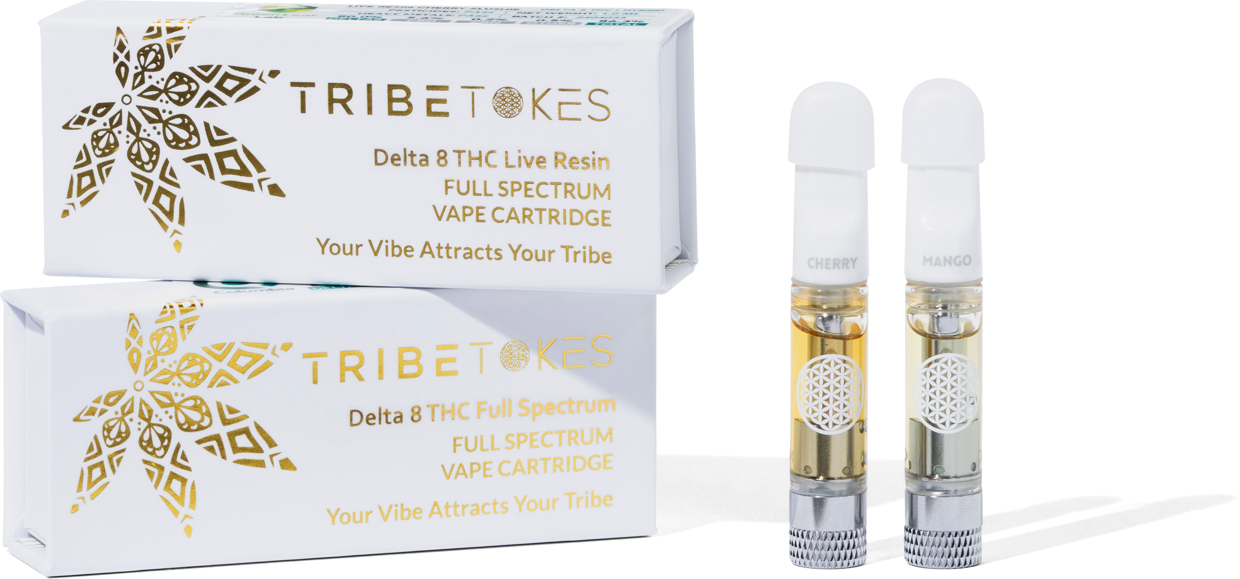 hi_res-89-TribeTokes_r1_04B_2843-copy1