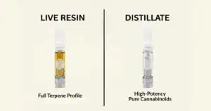 live-resin-vs-distillate_hero Updated