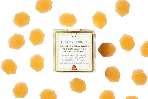 hi_res-1b-TribeTokes_LLC_r1_04Z_0088-removebg-preview1