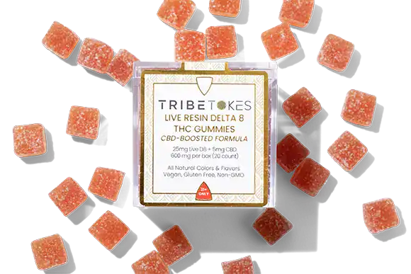 hi_res-44-TribeTokes-LLC_r1_04E_9979-copy1